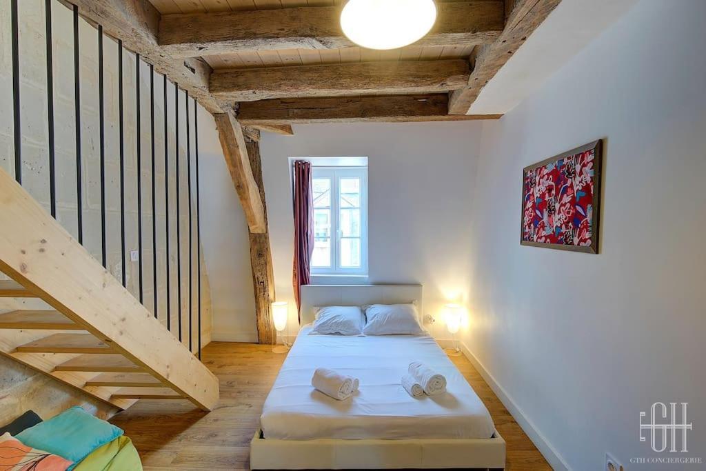 Glorisa - Quartier Historique Appartement Tours